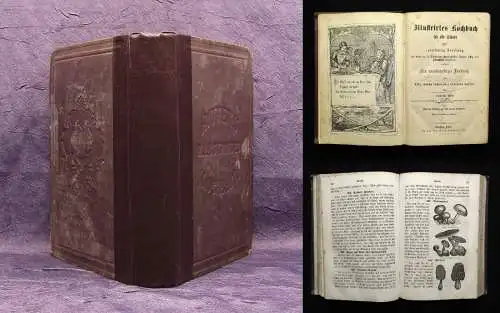 Ritter Illustriertes Kochbuch für alle Stände oder zuverlässige Anweisung 1860