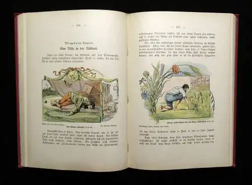 Höcker Robinson Crusoe Nach Defoeschen Erzählungen 1899 Abenteuer Erzählungen