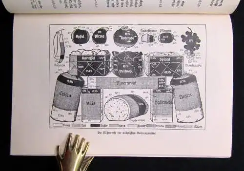 Schäfer das neue illustrierte Kochbuch 108. Auflage 1822 um 1928 Kochen Küche