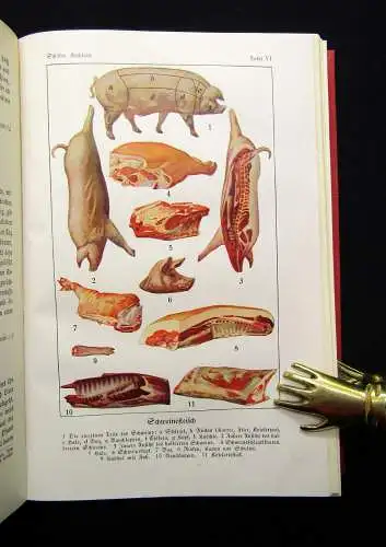 Schäfer das neue illustrierte Kochbuch 108. Auflage 1822 um 1928 Kochen Küche