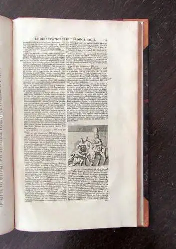 Herodot von Halikarnass(os) Herodoti Halicarnassei Historiarum Libri IX 1763