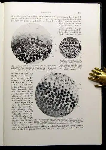 Bock Pigorini Technologie der Textilfasern Die Seidenspinner 1938 144 Abb.