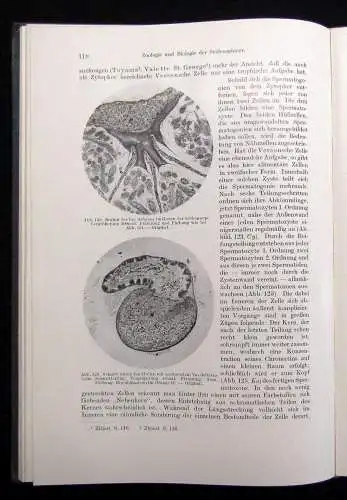 Bock Pigorini Technologie der Textilfasern Die Seidenspinner 1938 144 Abb.