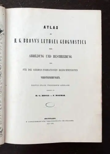 Bronn Atlas zu H.G. Bronns Lethaea geognostica oder Abbildung 1850- 1856