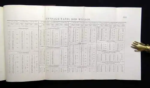 Engel Ungarns Holz-Industrie und Holzhandel. Technische, wirthschaftliche ..1882