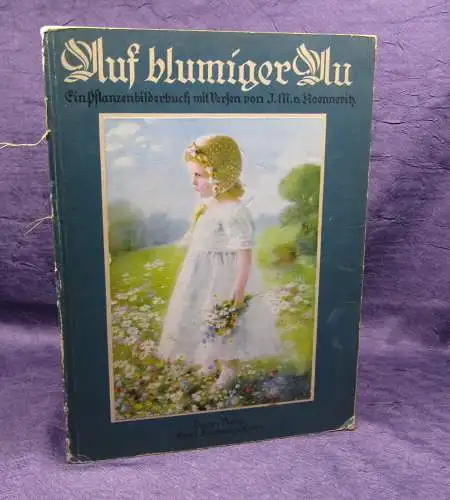 Koenneritz Auf blumiger Au um 1920 Pflanzenbilder mit Versen Frakturschrift js