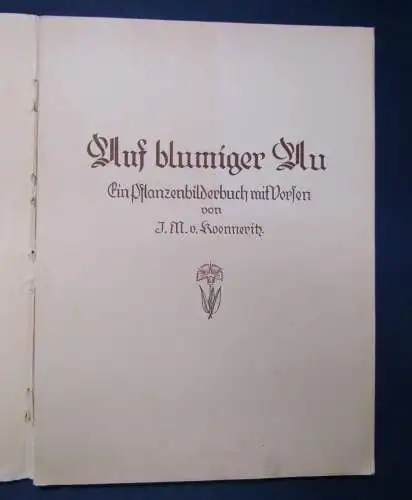 Koenneritz Auf blumiger Au um 1920 Pflanzenbilder mit Versen Frakturschrift js