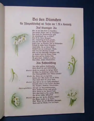 Koenneritz Auf blumiger Au um 1920 Pflanzenbilder mit Versen Frakturschrift js