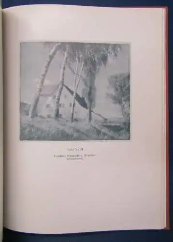 Schintling Kunst der Photographie 1927, 9 Tafeln und 33 Tafeln im Kunstdruck js