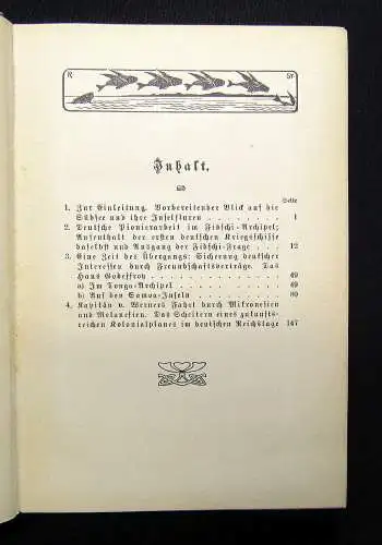 Richter Dt. Seebücherei 15 Bd. Unsere Marine in der Südsee 1907 Geschichte