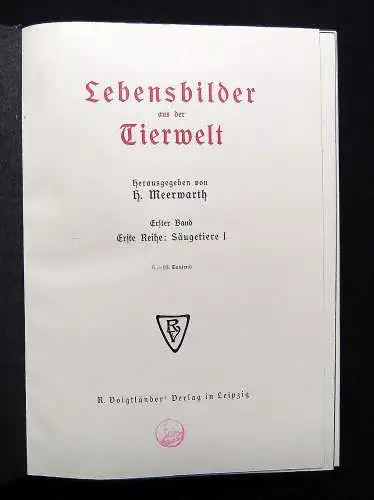 Meerwarth Lebensbildern aus der Tierwelt um 1910 6 Bände komplett Natur Tiere