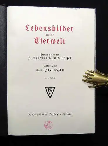 Meerwarth Lebensbildern aus der Tierwelt um 1910 6 Bände komplett Natur Tiere