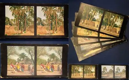 Sammlung 5 Stereo Bilder Algier,Oase Biskra Serie 43 Chromoplast No.273 1930 js