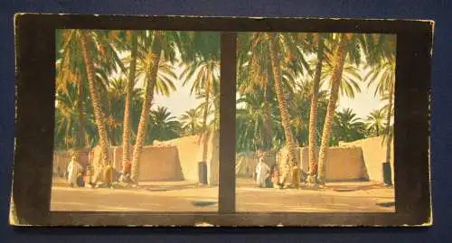 Sammlung 5 Stereo Bilder Algier,Oase Biskra Serie 43 Chromoplast No.273 1930 js