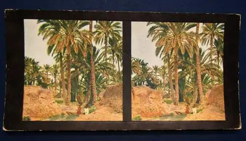 Sammlung 5 Stereo Bilder Algier,Oase Biskra Serie 43 Chromoplast No.273 1930 js