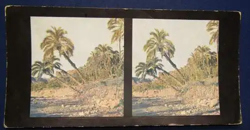 Sammlung 5 Stereo Bilder Algier,Oase Biskra Serie 43 Chromoplast No.273 1930 js