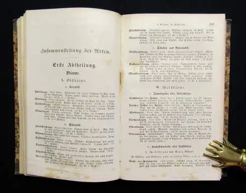 Schmidlin Anleitung zum Botanisieren u. zur Anlegung der Pflanzen-Sammlung 1845