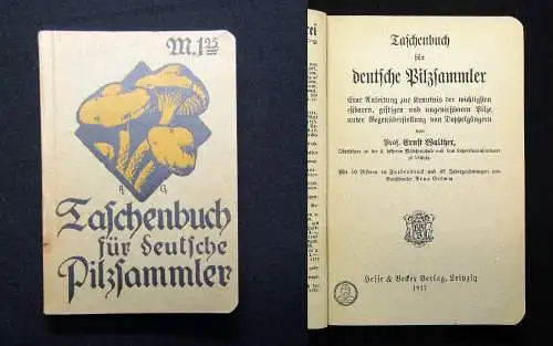 Walther Taschenbuch für deutsche Pilzsammler 1917 Biologie Mykologie