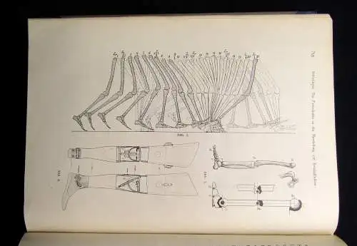 Jahrbuch der Schiffbautechnischen Gesellschaft 1920 21 Bd. Geschichte