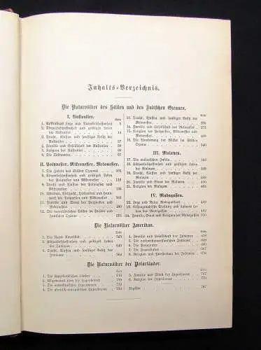 Ratzel Völkerkunde 2. Band apart 391 Abb. 11 Tafeln 2 Karten 1886 Gesellschaft