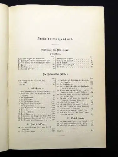 Ratzel Völkerkunde 1. Band apart 494 Abb. 10 Tafeln 2 Karten 1885 Gesellschaft