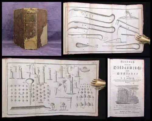 Christ, Johann Ludwig Handbuch über die Obstbaumzucht und Obstlehre 1797 Natur