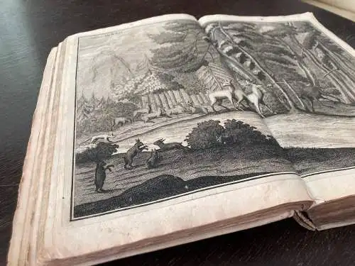 Fleming Der Vollkommene Teutsche Jäger Darinnen Erde,Gebirge,Kräuter 1719