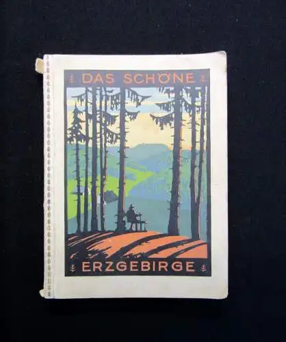 Erzgebirgsverein Das schöne Erzgebirge im Sommer und Winter 1929