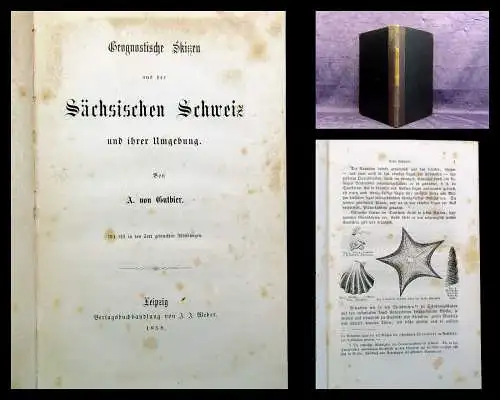 Gutbier Geognostische Skizzen aus der sächsischen Schweiz 1858 123 Abb. im Text