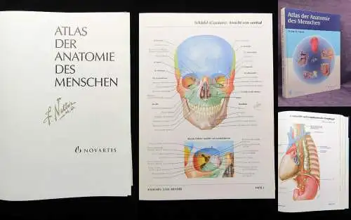 Netter Atlas der Anatomie des Menschen 1989 mit 514 Tafeln Medizin Lehramt Ärzte