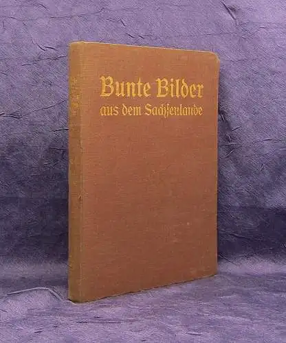 Pestalozzi-Verein Bunte Bilder aus dem Sachsenlande 1. Bd. apart 1925 Saxonica