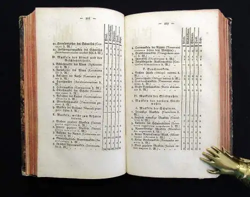 Gurlt Handbuch der vergleichenden Anatomie der Haus-Säugethiere 1822