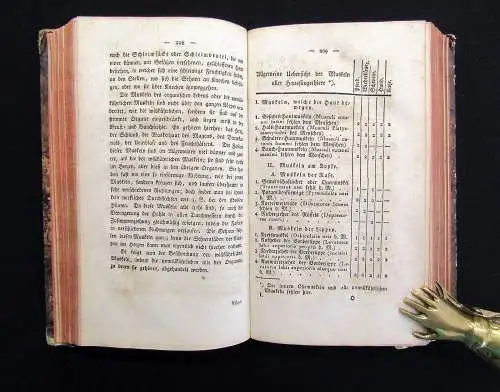 Gurlt Handbuch der vergleichenden Anatomie der Haus-Säugethiere 1822