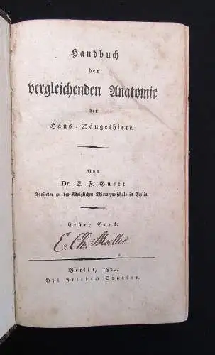 Gurlt Handbuch der vergleichenden Anatomie der Haus-Säugethiere 1822