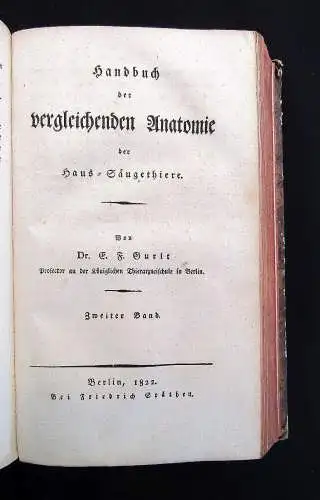 Gurlt Handbuch der vergleichenden Anatomie der Haus-Säugethiere 1822