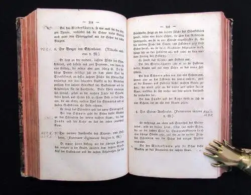 Gurlt Handbuch der vergleichenden Anatomie der Haus-Säugethiere 1822