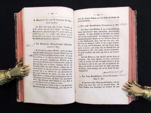 Gurlt Handbuch der vergleichenden Anatomie der Haus-Säugethiere 1822