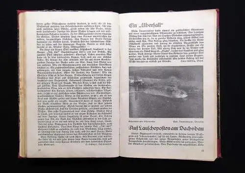 Heimat-Jugendblätter zur Heimatkunde für d. Sächsische Schweiz u. das Müglitztal