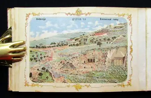 Blumen und Ansichten Aus dem heiligen Lande Jerusalem 1900 Herbarium Olivenholz