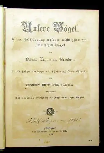 Unsere Vögel Schilderung wichtiger einheimischer Vögel 1895 200Abb auf 12 Tafeln