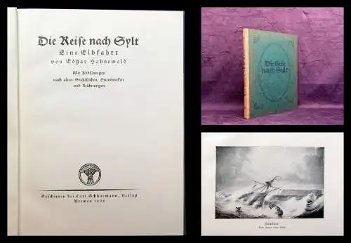 Hahnewald Die Reise nach Sylt Eine Elbfahrt 1924 Belletritik Literatur Ortskunde