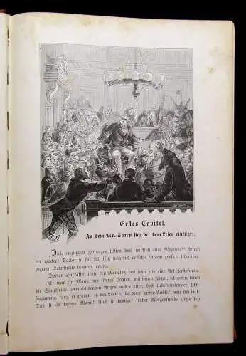 Verne Bekannte und unbekannte Reisen Abenteuerliche Reisen 1881 48 Illustr.