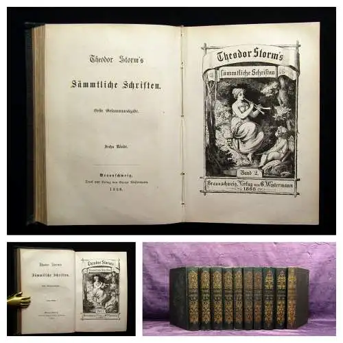 Theodor Storm`s Sämmtliche Schriften 19 Bde. in 10 Büchern 1868- 1889 dekorativ