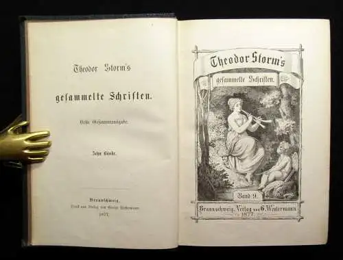 Theodor Storm`s Sämmtliche Schriften 19 Bde. in 10 Büchern 1868- 1889 dekorativ