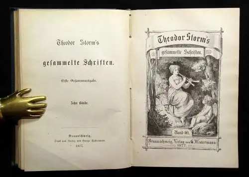 Theodor Storm`s Sämmtliche Schriften 19 Bde. in 10 Büchern 1868- 1889 dekorativ