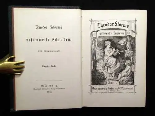 Theodor Storm`s Sämmtliche Schriften 19 Bde. in 10 Büchern 1868- 1889 dekorativ