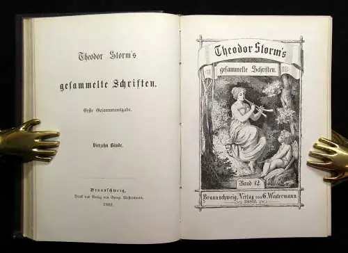 Theodor Storm`s Sämmtliche Schriften 19 Bde. in 10 Büchern 1868- 1889 dekorativ