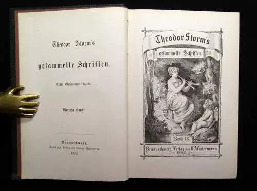 Theodor Storm`s Sämmtliche Schriften 19 Bde. in 10 Büchern 1868- 1889 dekorativ