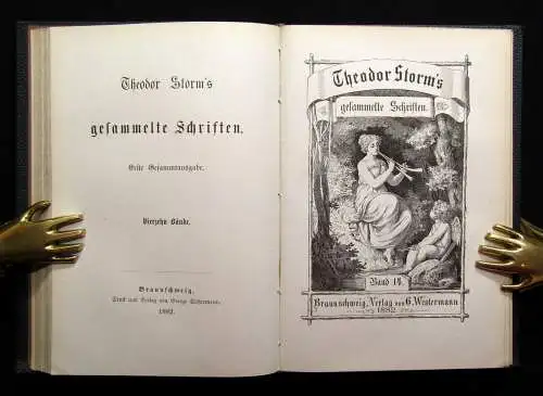 Theodor Storm`s Sämmtliche Schriften 19 Bde. in 10 Büchern 1868- 1889 dekorativ