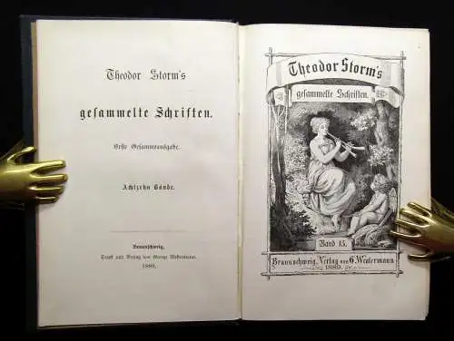 Theodor Storm`s Sämmtliche Schriften 19 Bde. in 10 Büchern 1868- 1889 dekorativ